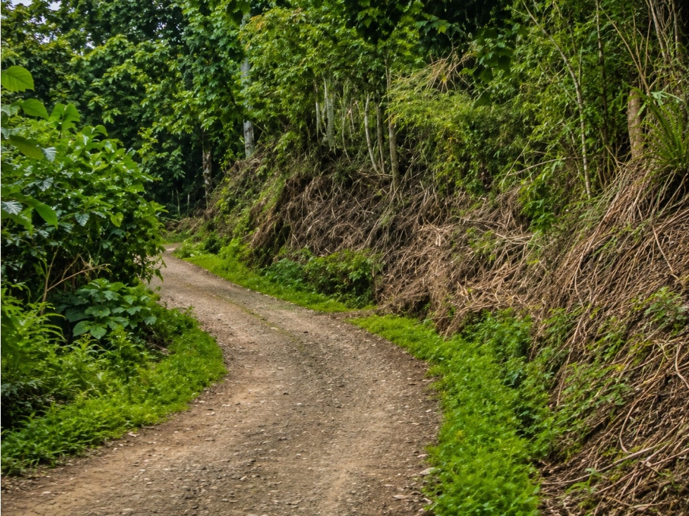 LOTE EN VENTA VEREDA EL CASTILLO, EL CERRITO, VALLE DEL CAUCA — foto 6