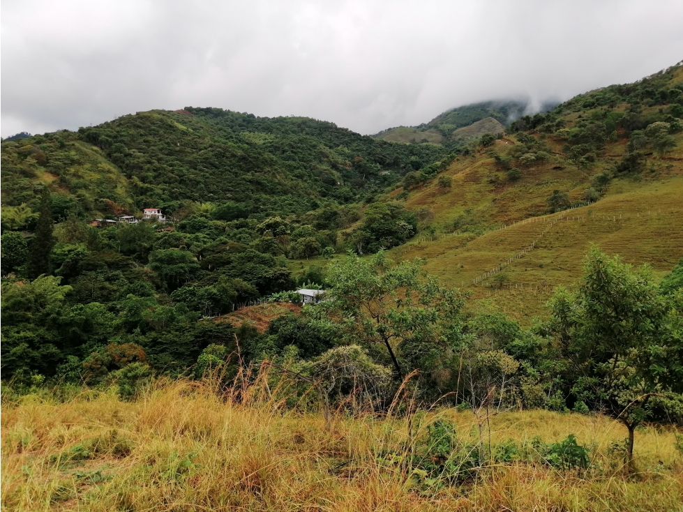 LOTE CAMPESTRE EN VENTA PALMIRA LA BUITRERA — foto 5