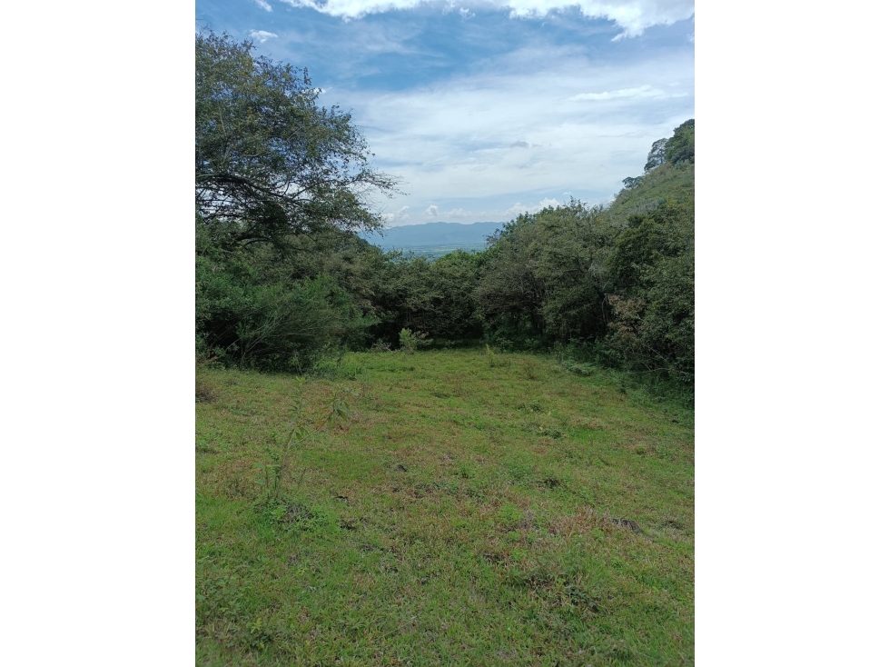 LOTE CAMPESTRE EN VENTA CERRITO PARA DESARROLLO INMOBILIARIO - 1