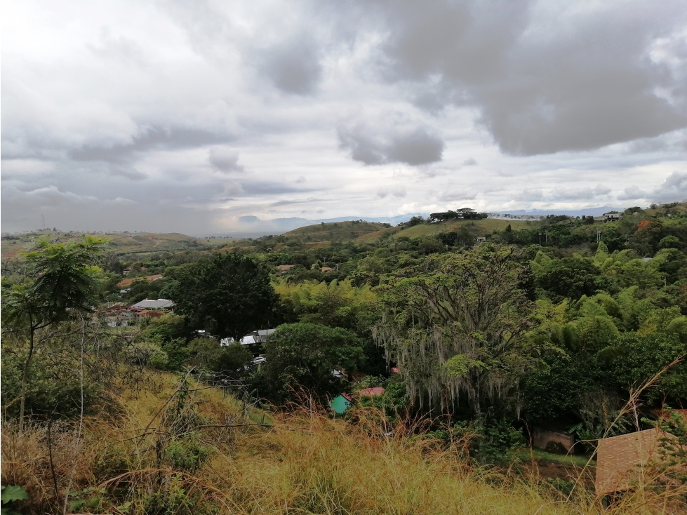 LOTE CAMPESTRE EN VENTA PALMIRA LA BUITRERA — foto 6