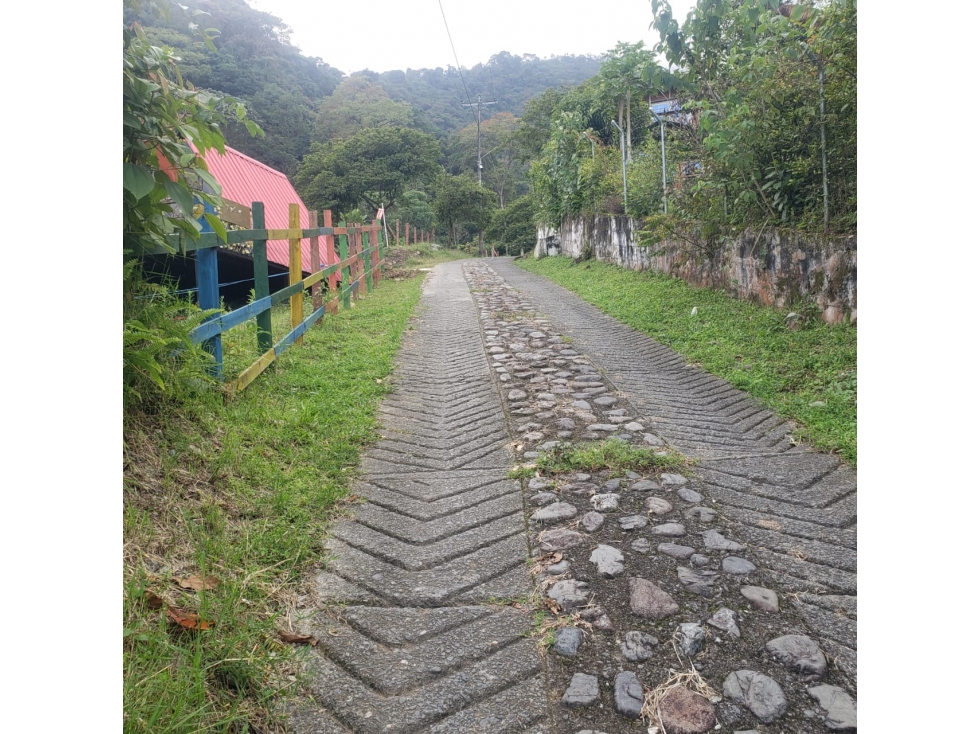 LOTE CAMPESTRE EN VENTA EL CASTLLO CERRITO VALLE DEL CAUCA — foto 4