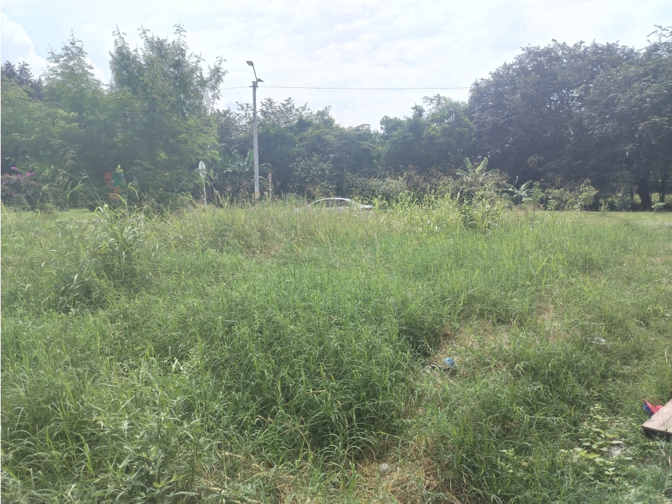 LOTE ESQUINERO COMERCIAL EN VENTA CHAPINERO SUR, PALMIRA — foto 4