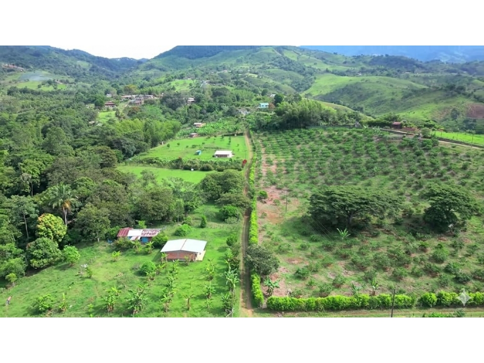 LOTE EN VENTA EN LA CUMBRE VALLE DEL CAUCA - 3