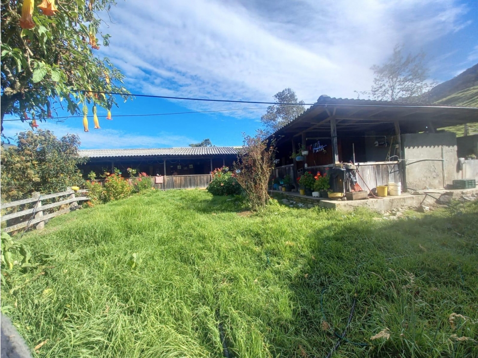 FINCA PRODUCTIVA EN VENTA TENERIFE EL CERRITO VALLE 254 Hectáreas