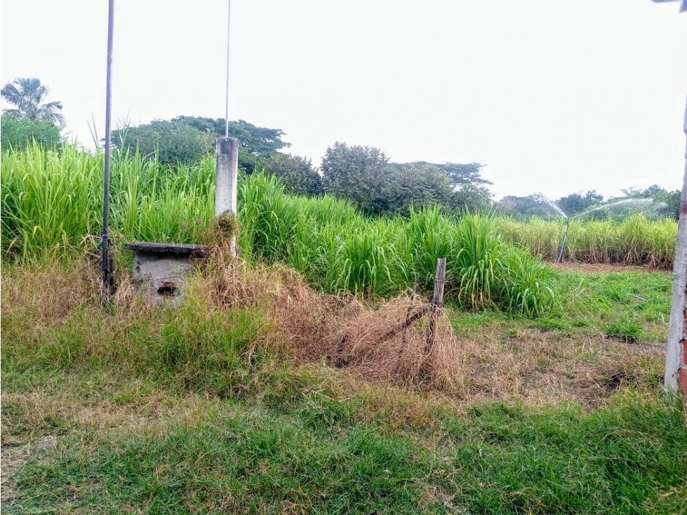 LOTE CAMPESTRE EN VENTA VÍA PALMIRA-CERRITO CERCA A LA PANAMERICANA - 6