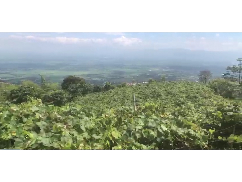 LOTE CAMPESTRE EN VENTA EN GINEBRA VALLE DEL CAUCA — foto 6
