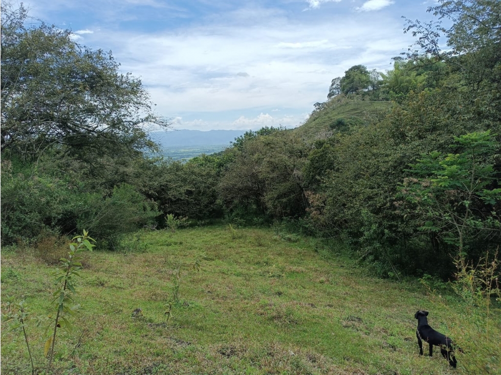 LOTE CAMPESTRE EN VENTA CERRITO PARA DESARROLLO INMOBILIARIO - 2