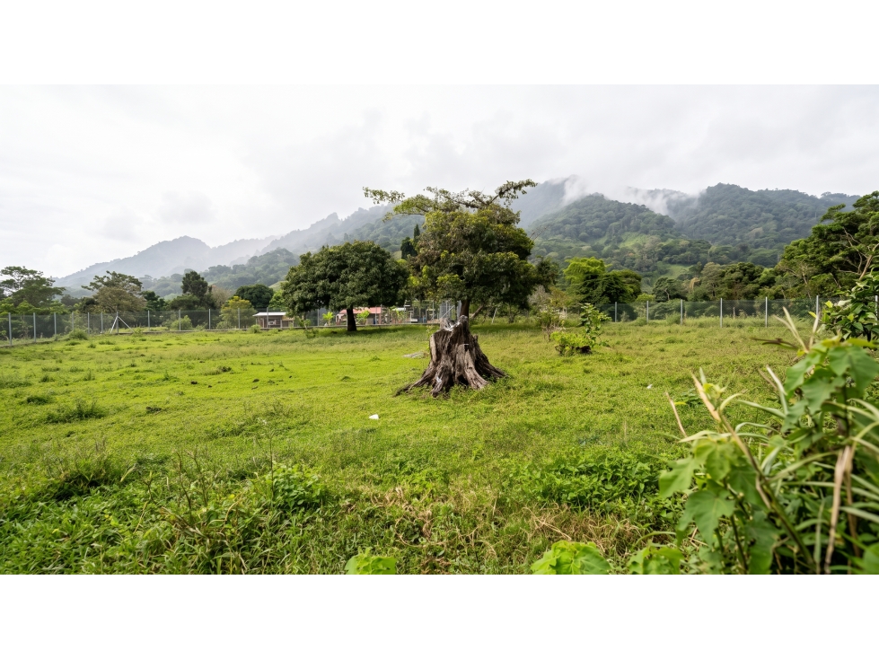 LOTE CAMPESTRE EN VENTA CALUCÉ, PALMIRA 1.071 m² - 3