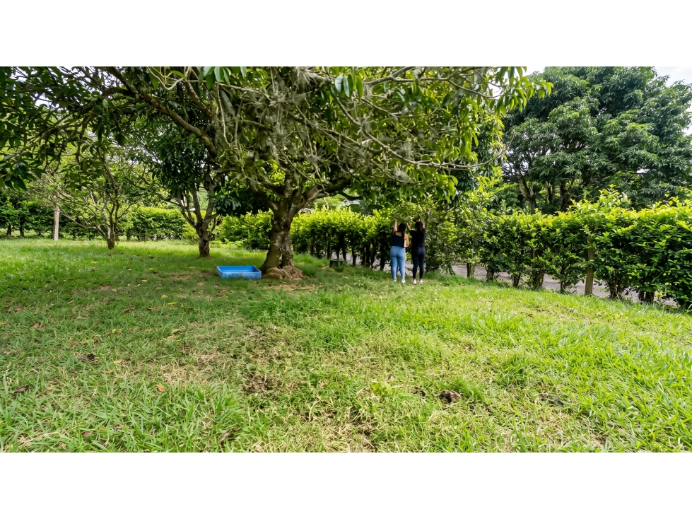 LOTE CAMPESTRE EN VENTA CALUCÉ, PALMIRA 1.071 m² - 5