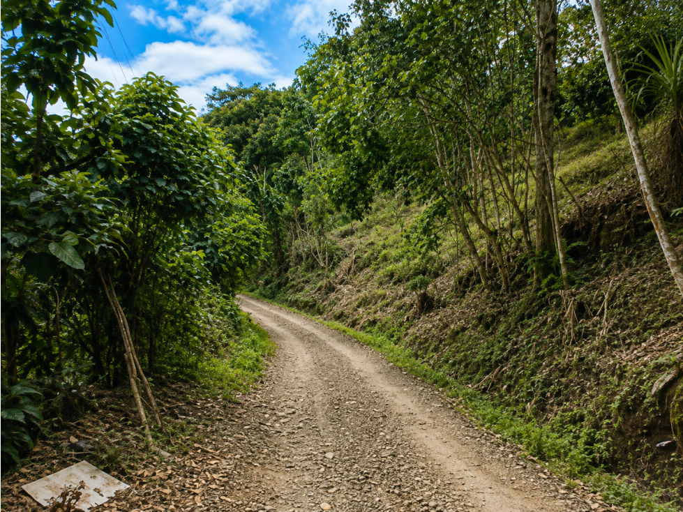 LOTE EN VENTA VEREDA EL CASTILLO, EL CERRITO, VALLE DEL CAUCA — foto 4
