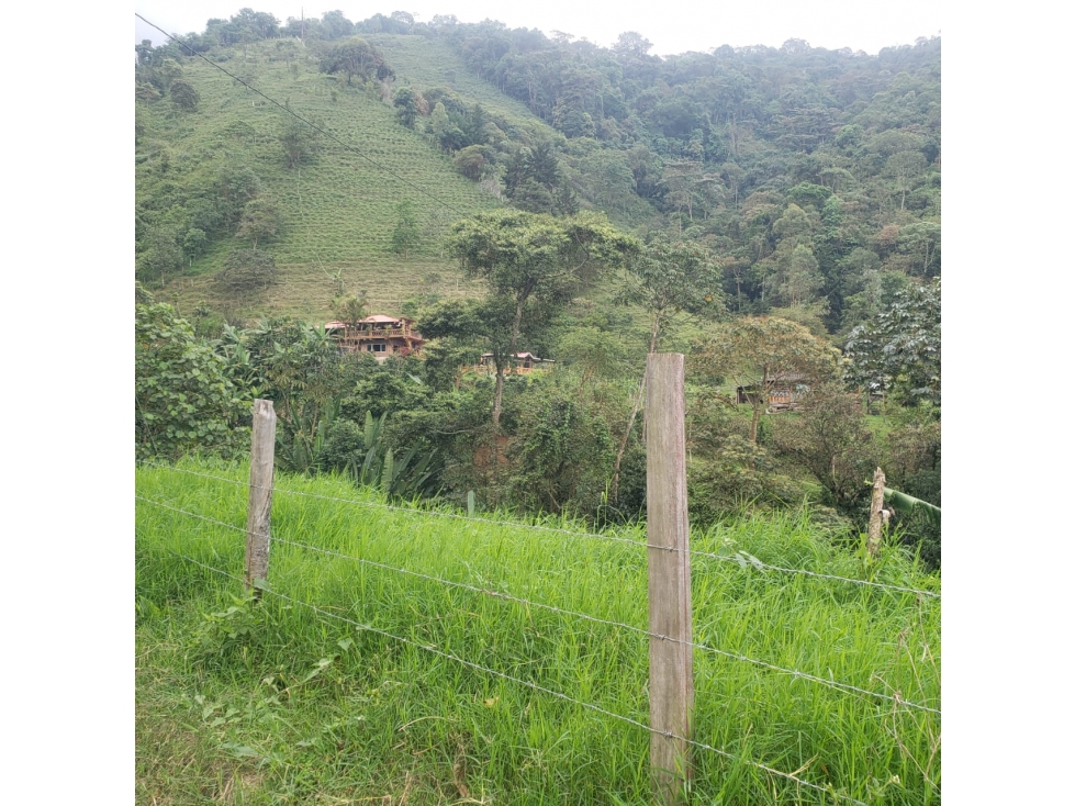LOTE CAMPESTRE EN VENTA EL CASTLLO CERRITO VALLE DEL CAUCA — foto 3
