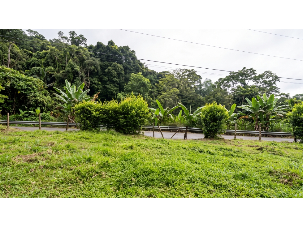 LOTE CAMPESTRE EN VENTA CALUCÉ, PALMIRA 1.071 m² - 6