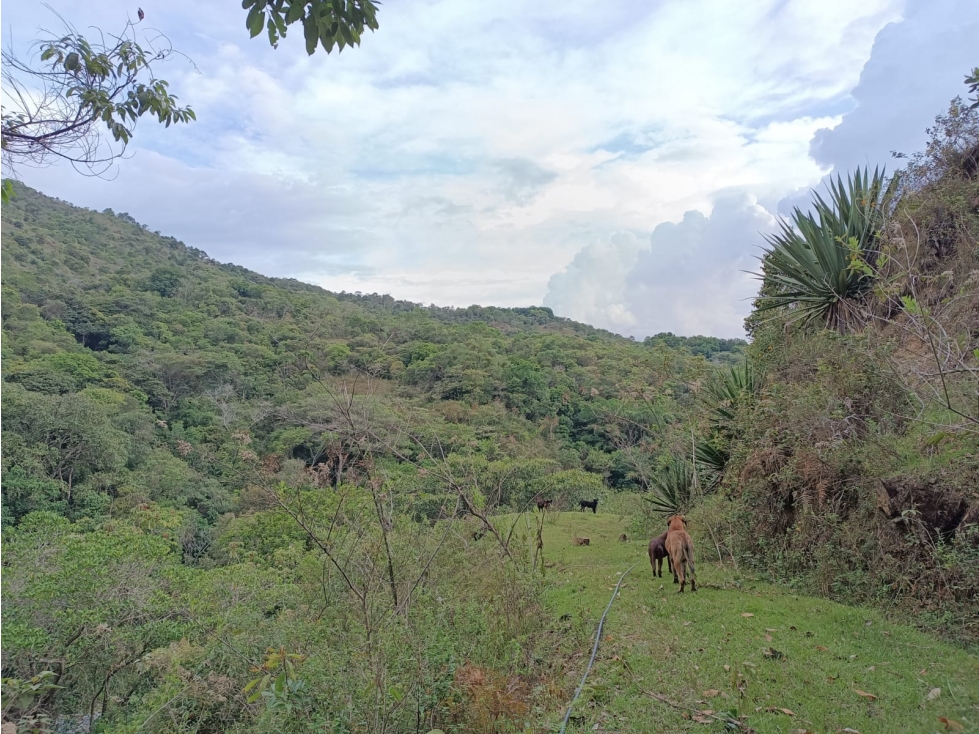 LOTE CAMPESTRE EN VENTA CERRITO PARA DESARROLLO INMOBILIARIO - 6