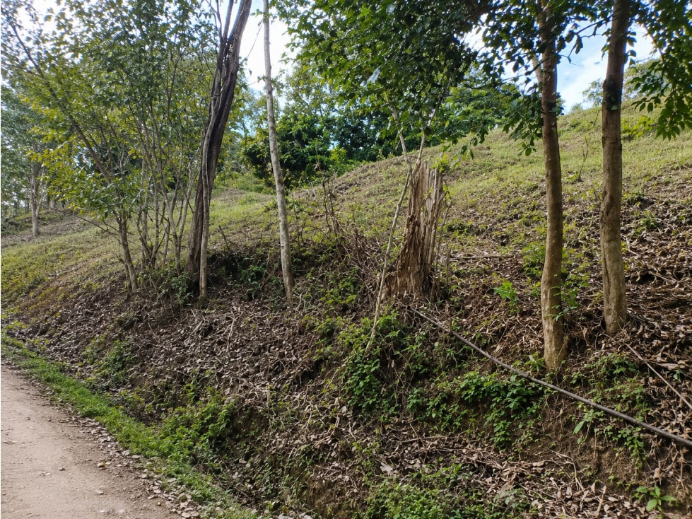LOTE EN VENTA VEREDA EL CASTILLO, EL CERRITO, VALLE DEL CAUCA