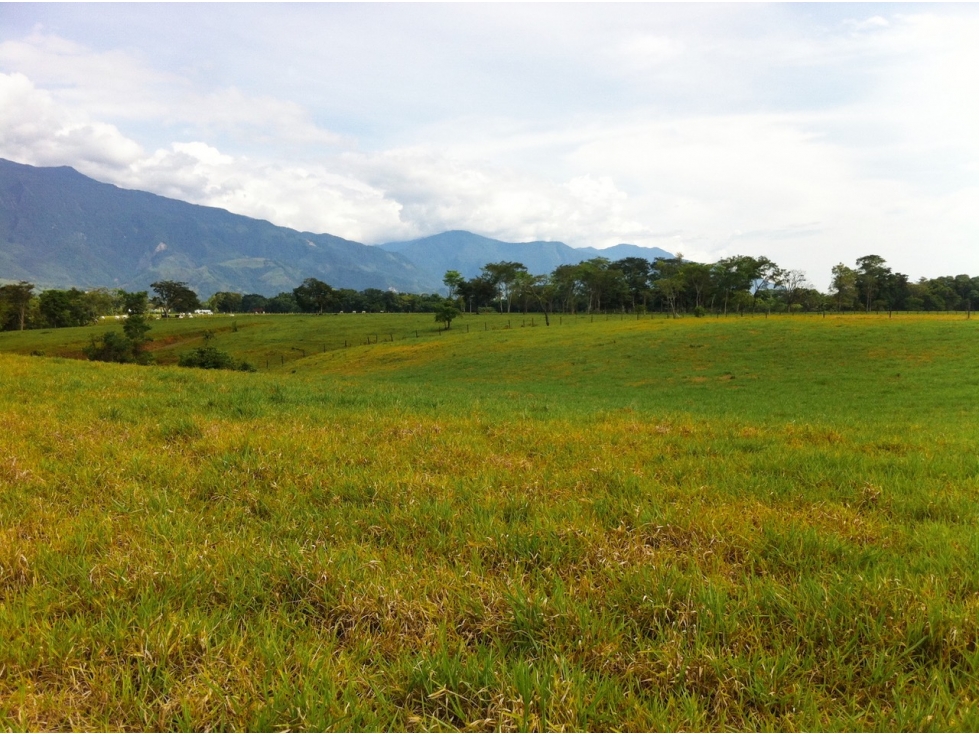 VENTA FINCA RESTREPO META. 19 HECTAREAS, CASAS, PISCINA - 4