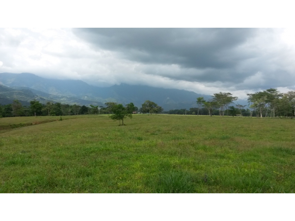 VENTA FINCA RESTREPO META. 19 HECTAREAS, CASAS, PISCINA - 5