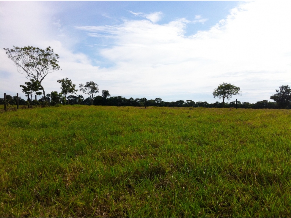 VENTA FINCA RESTREPO META. 19 HECTAREAS, CASAS, PISCINA - 6