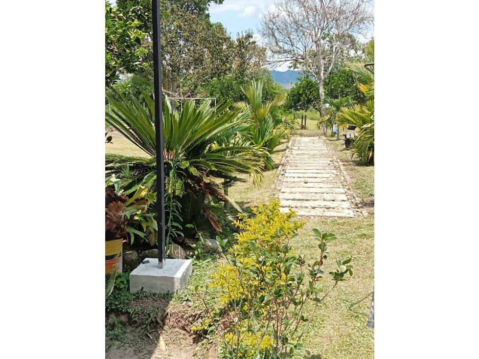 Se vende finca en Montenegro, Quindío - 5