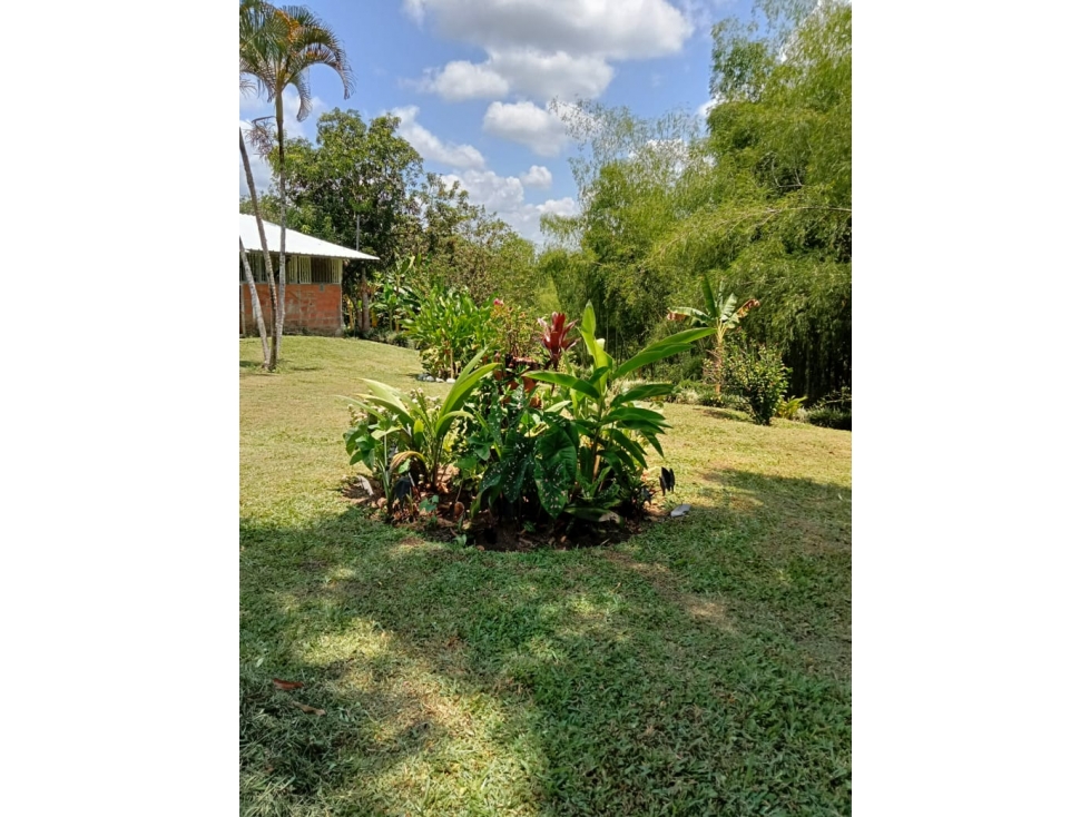 Se vende finca en Montenegro, Quindío - 6