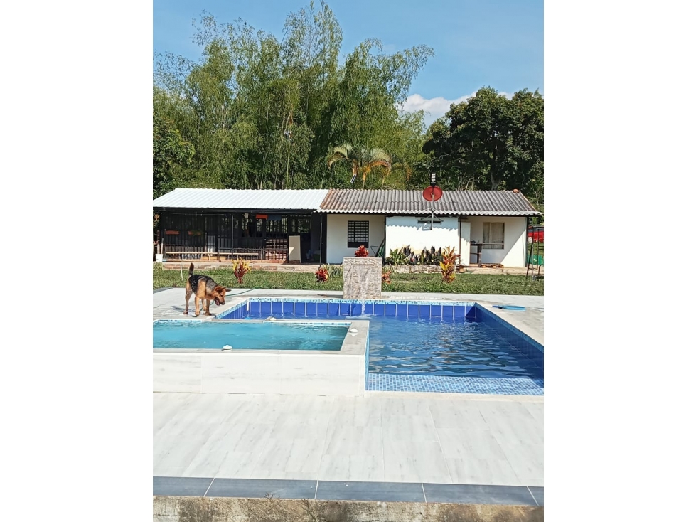Se vende finca en Montenegro, Quindío - 1