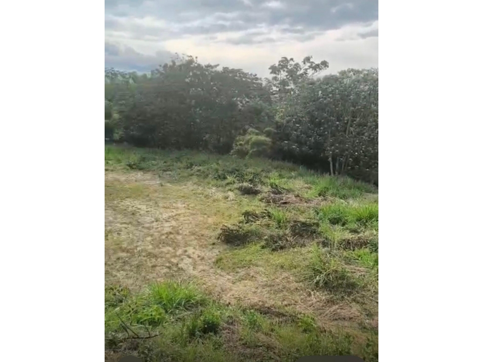 Se vende Lote Montenegro Quindio - 1