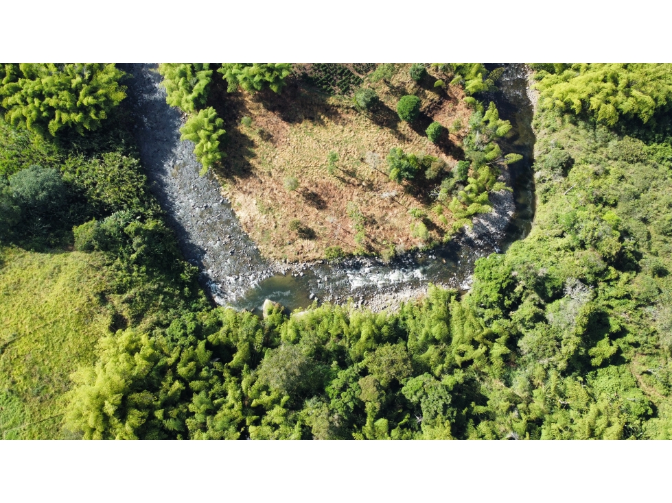Se vende lote en el norte de Armenia, sector Av. centenario. — foto 4