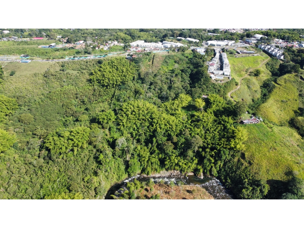 Se vende lote en el norte de Armenia, sector Av. centenario. — foto 5