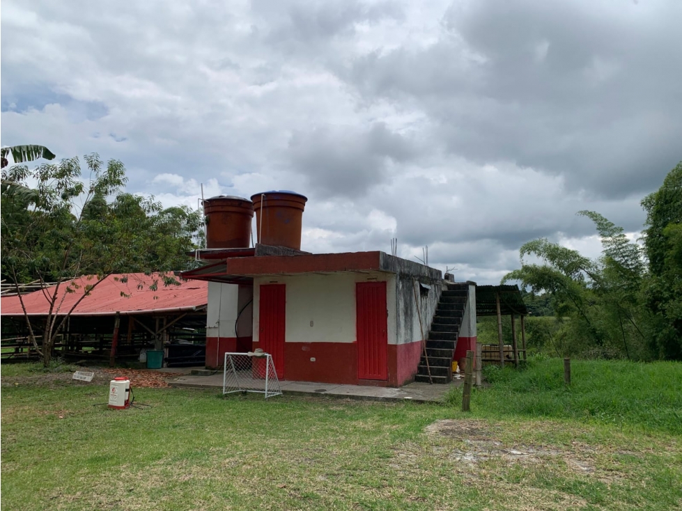 Se vende finca ganadera Circasia Quindio