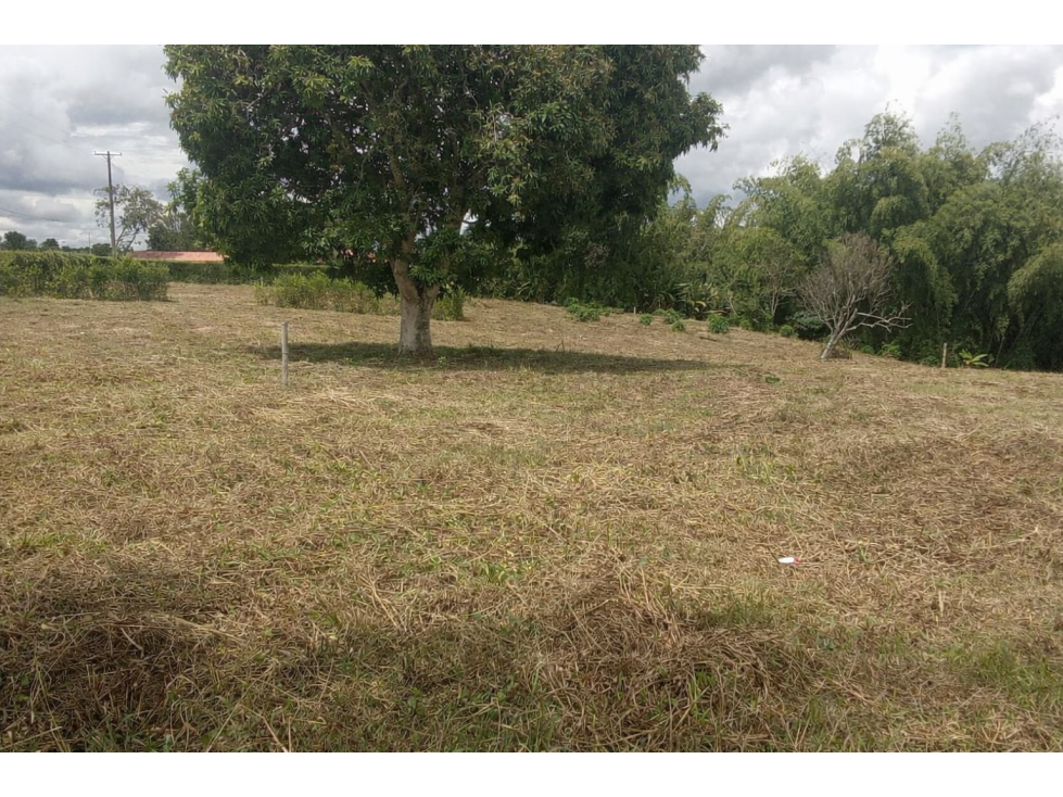Se vende lote en Montenegro — foto 4