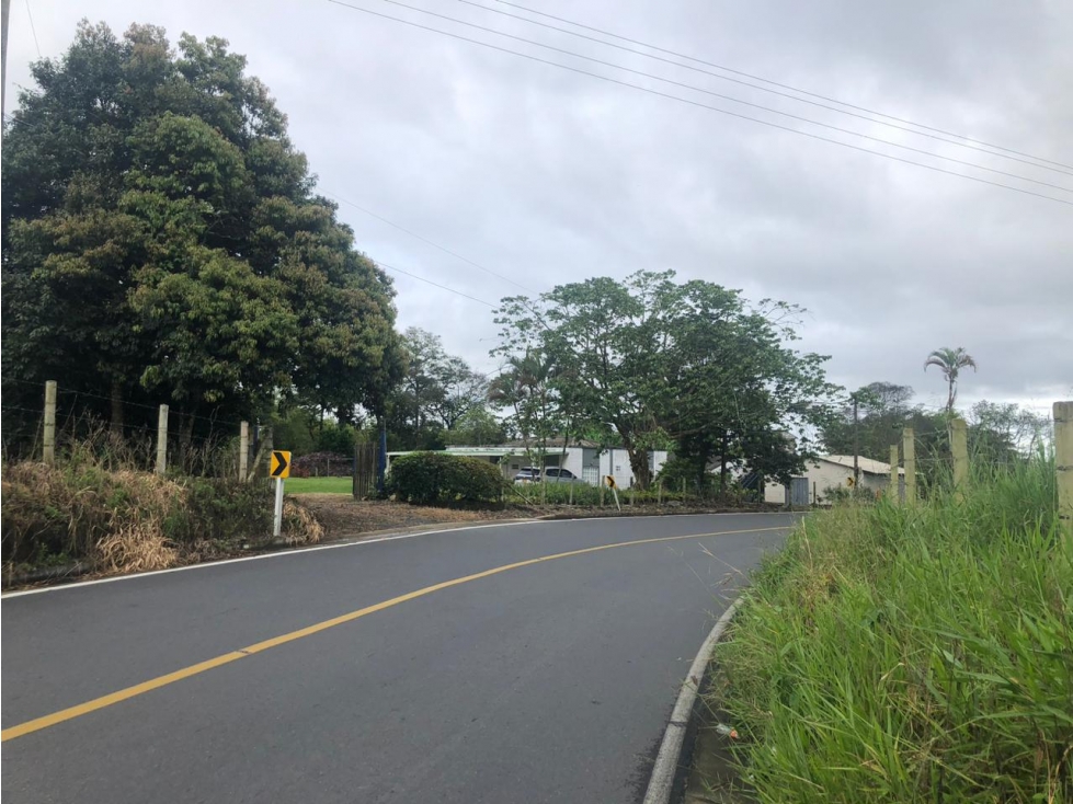 Se vende finca cafetera entre Circasia y Montenegro, Quindío. — foto 4