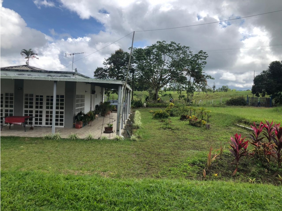 Se vende finca cafetera entre Circasia y Montenegro, Quindío. — foto 2