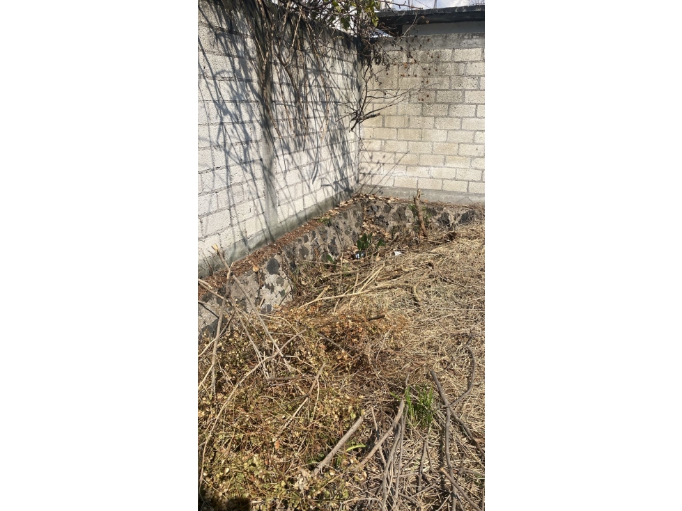 Terreno plano col Milpillas - 6