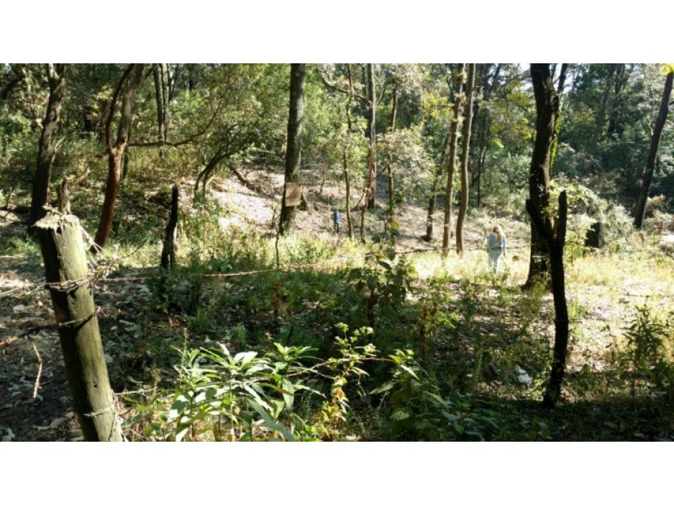 Venta de Terreno Huertas de San Pedro - 4