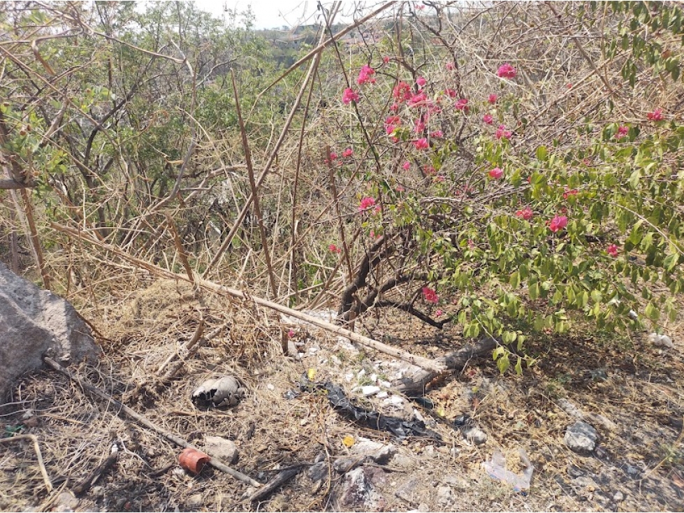 VENDO TERRENO SANTA FE 500M2 - 4