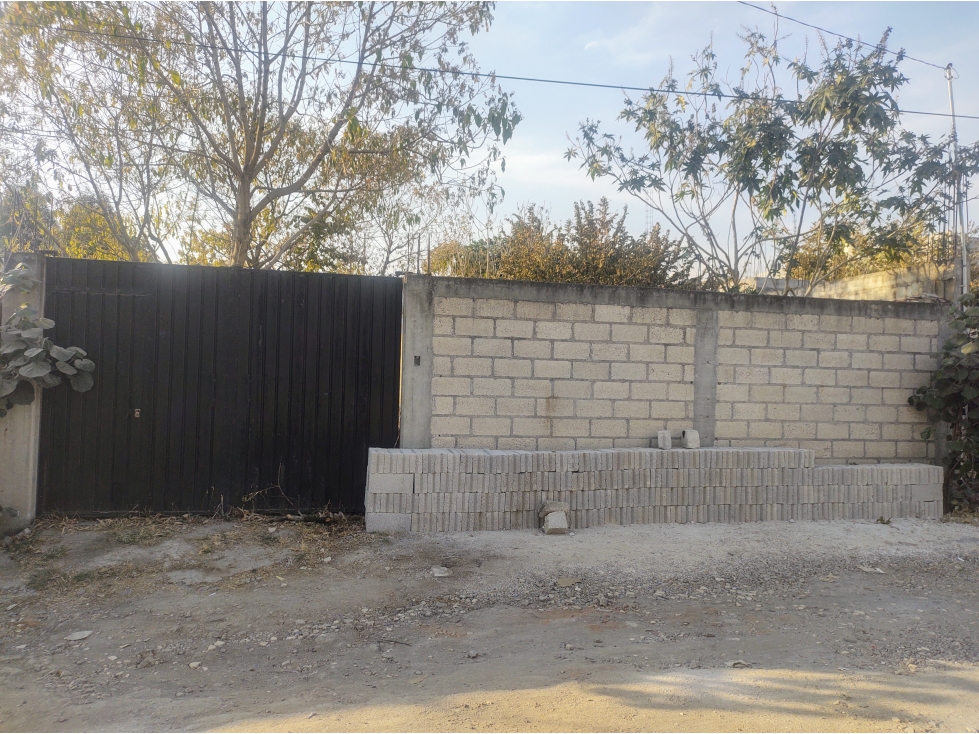 Terreno plano col Milpillas - 1