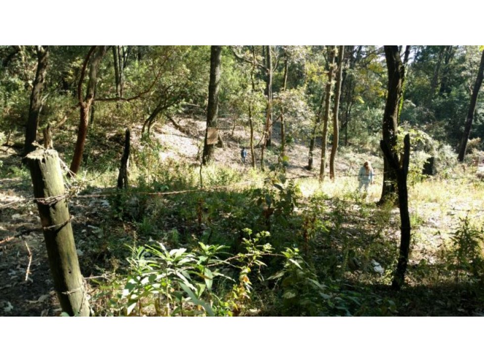 Venta de Terreno Huertas de San Pedro - 6