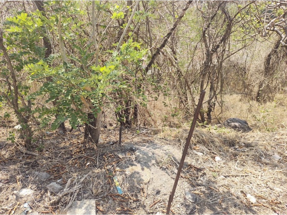 VENDO TERRENO SANTA FE 500M2 - 6