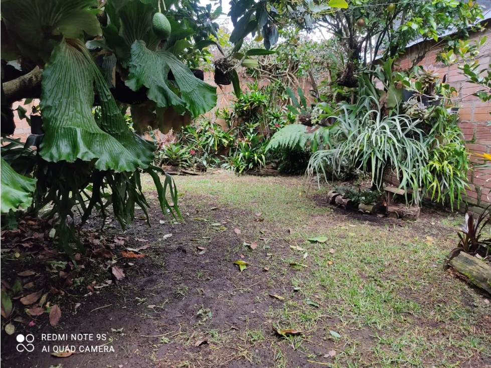 VENTA CASA LOTE LA CEJA CON AIRE - 3