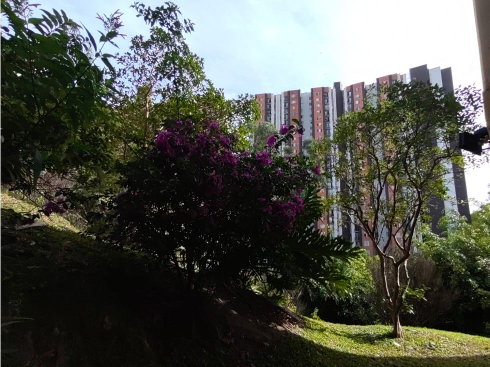 VENTA APARTAMENTO SECTOR CALAZANS — foto 5