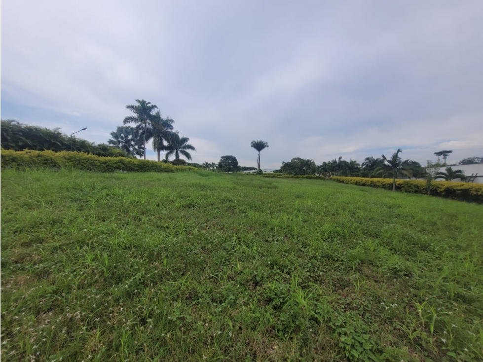 LOTE VIA CERRITOS LA VIRGINIA — foto 2