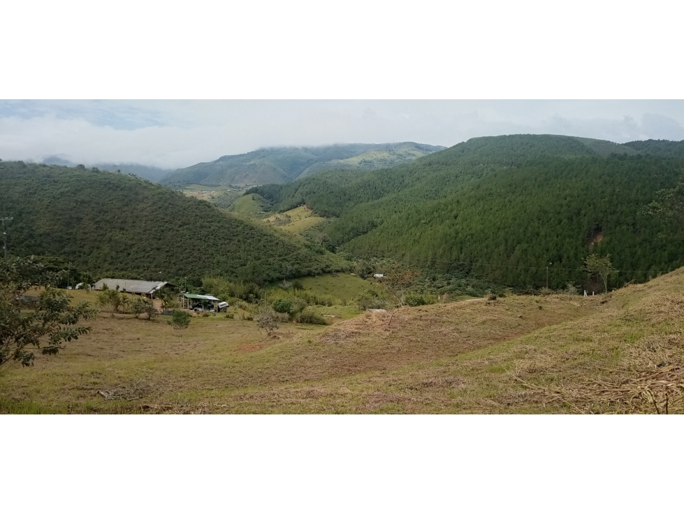Venta, Lote Campestre, Parcelacion, Borrero Ayerbe, Dagua, Valle