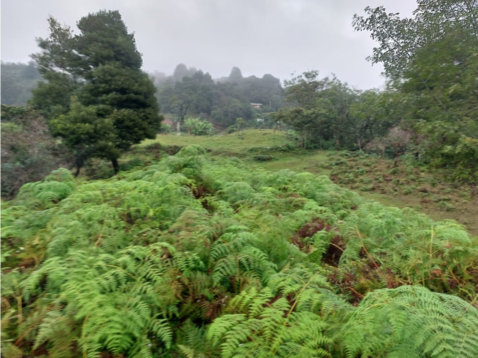Venta de lote en la vereda San Jose en Guarne Antioquia