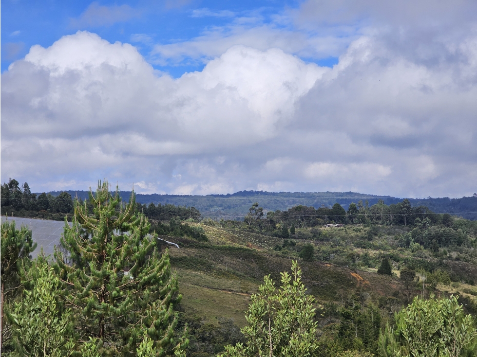 Venta de Lote en Guarne Antioquia sector La Brizuela