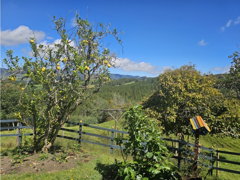 Venta de espectacular finca en San Pedro de los Milagros Antioquia — foto 4