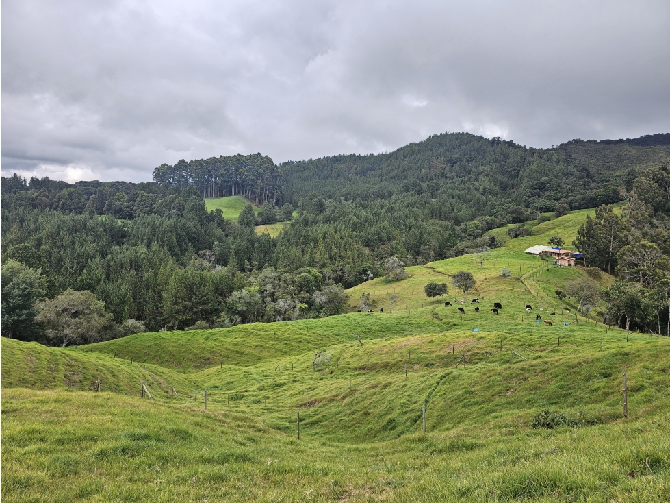 Venta de Lotes en San Pedro de los Milagros - Vereda Zafra