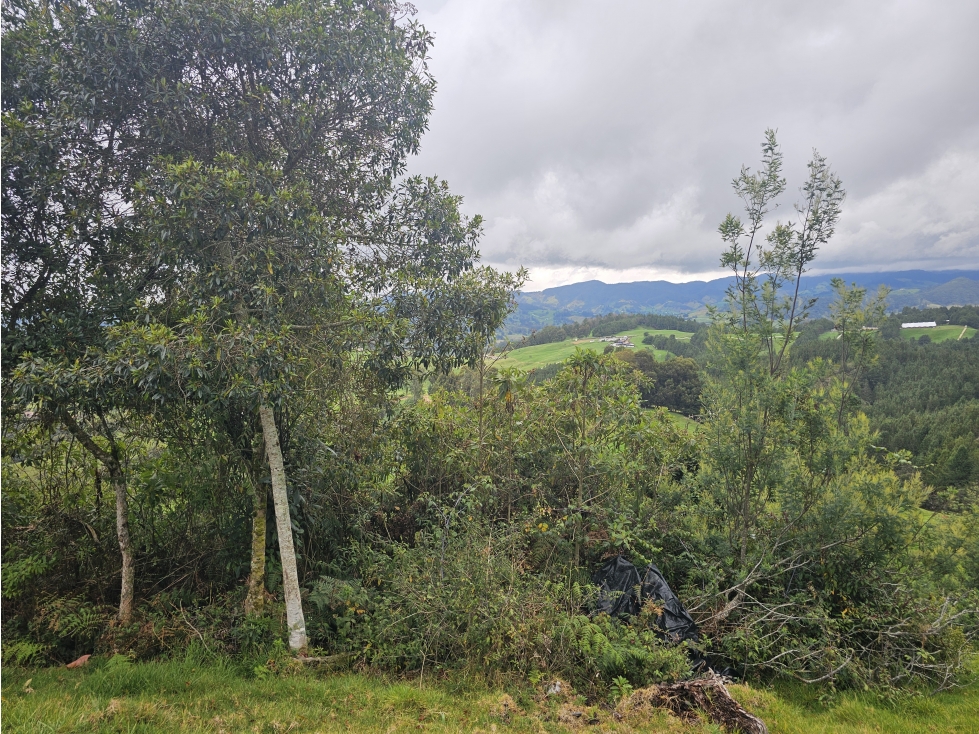 Venta de Lotes en San Pedro de los Milagros - Vereda Zafra — foto 2