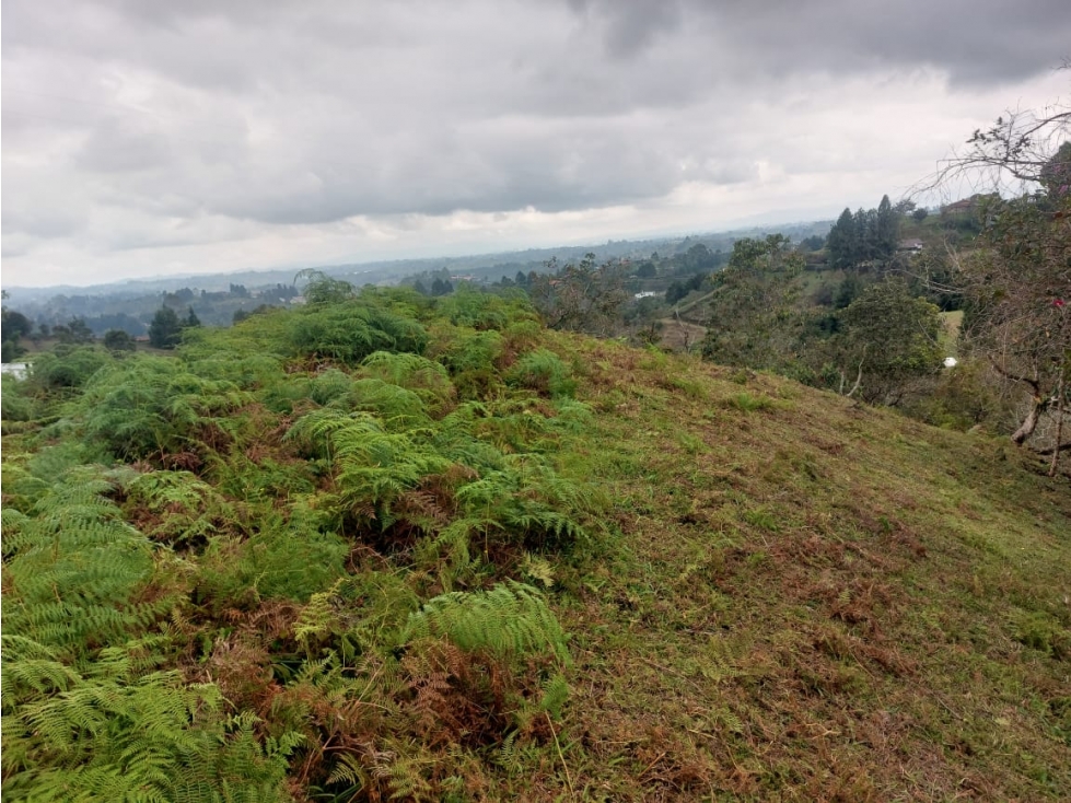Venta de lote en la vereda San Jose en Guarne Antioquia — foto 2