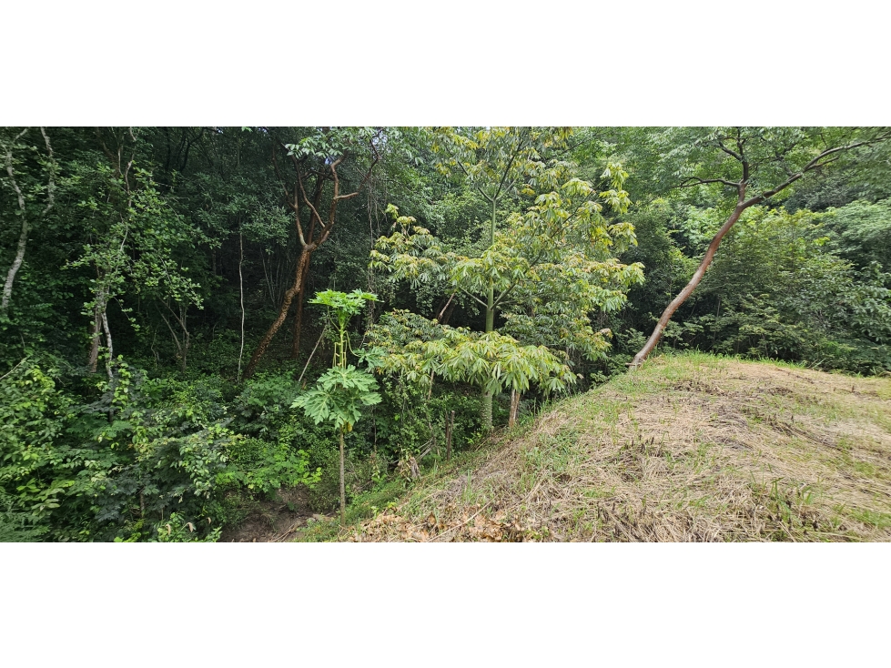 Venta de Lote en Sopetrán Antioquia sector El Gaitero — foto 3