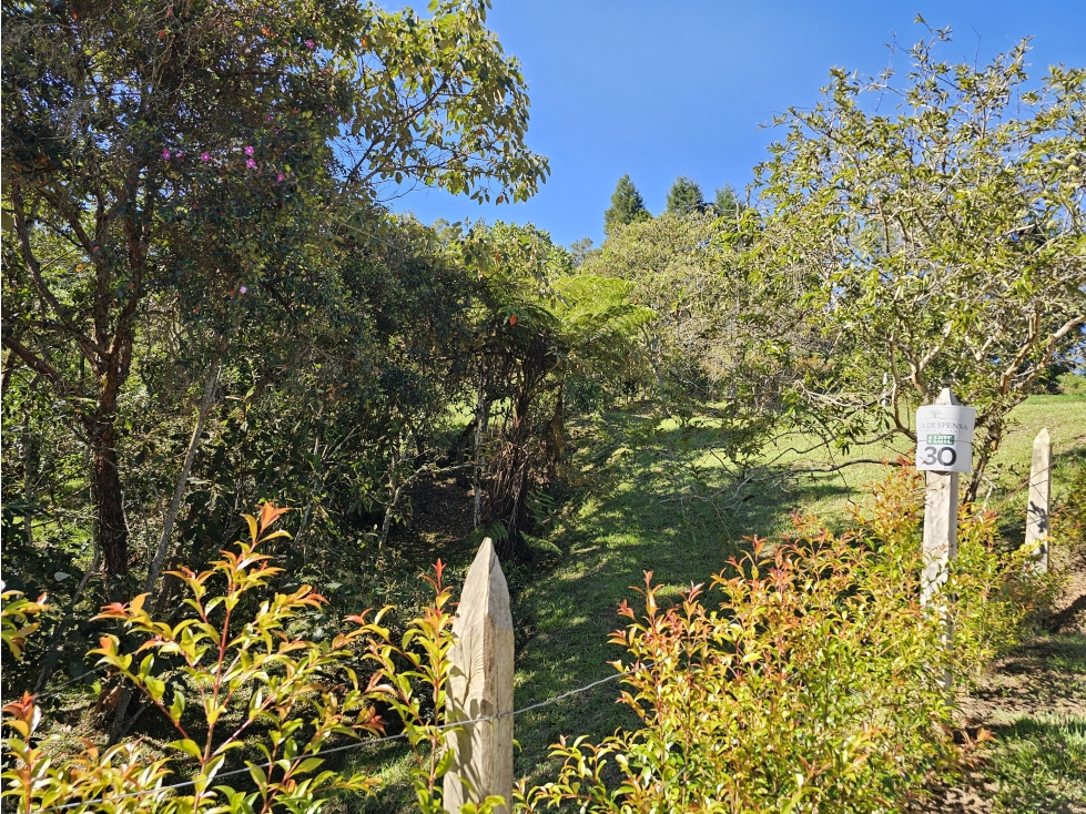 Venta de Lote en Guarne - Vereda Garrido Parcelación Piedras Blancas