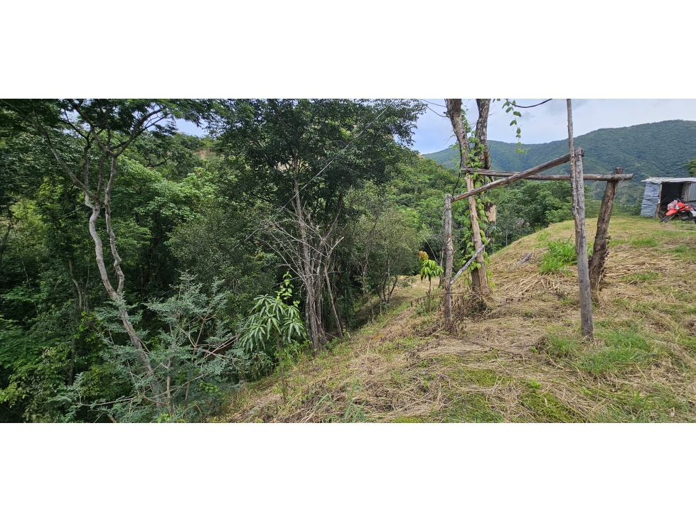 Venta de Lote en Sopetrán Antioquia sector El Gaitero — foto 4